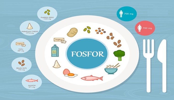 fosfor-kapak