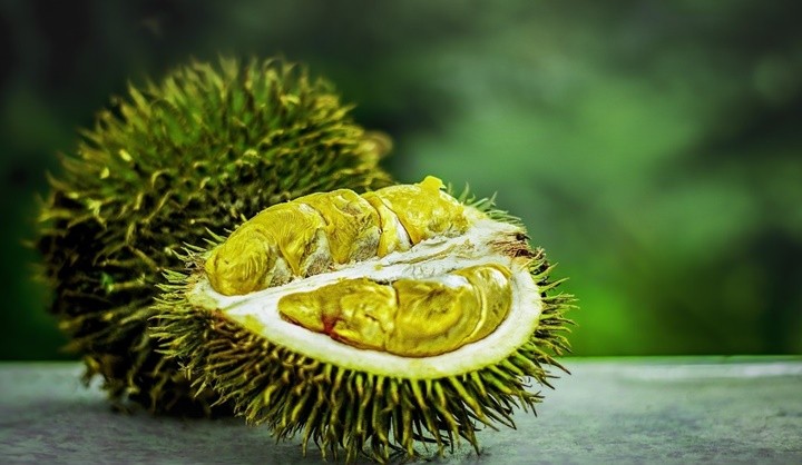durian-kapak